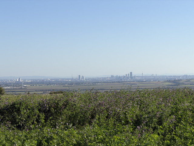 IMG-0434