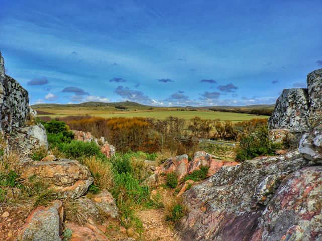 DSCN4973.jpg