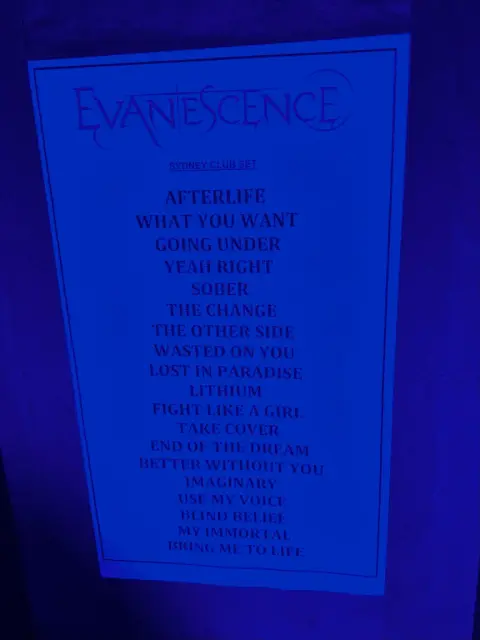 Evanescence-Deb-Pelser-1-99.webp