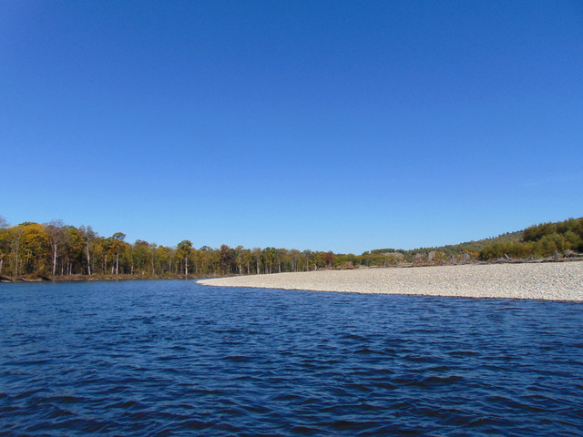 DSC06595.jpg