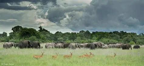 Remote plains of Kafue National Park