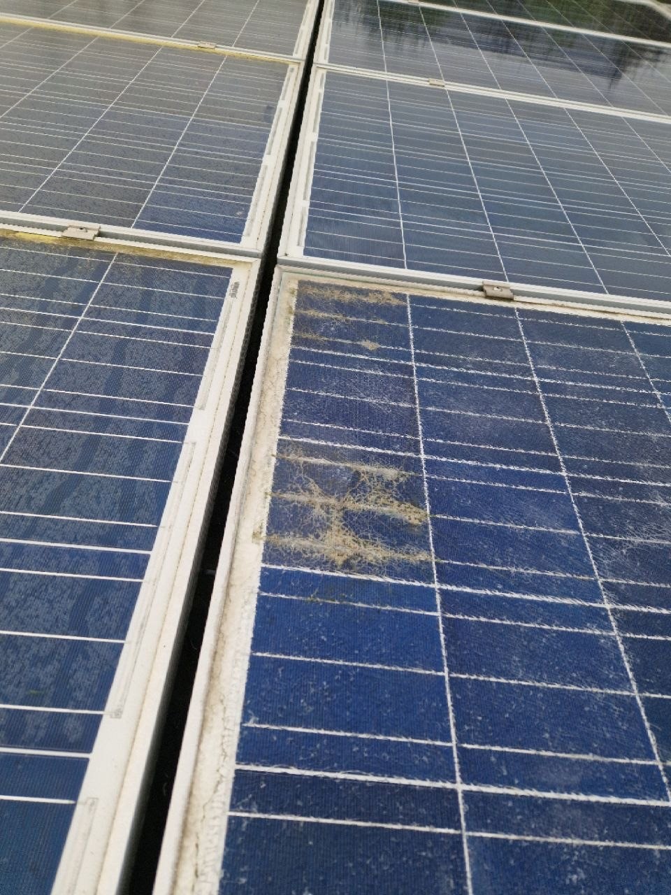 Bei der Sichtprüfung entdecktes defektes Solarmodul – der Kunde wurde umgehend informiert
