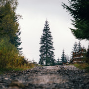 IPB Image