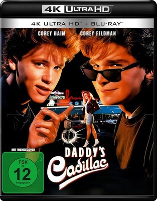 Licenza Di Guida (1988) FullHD 1080p UHDrip HDR HEVC ITA/ENG