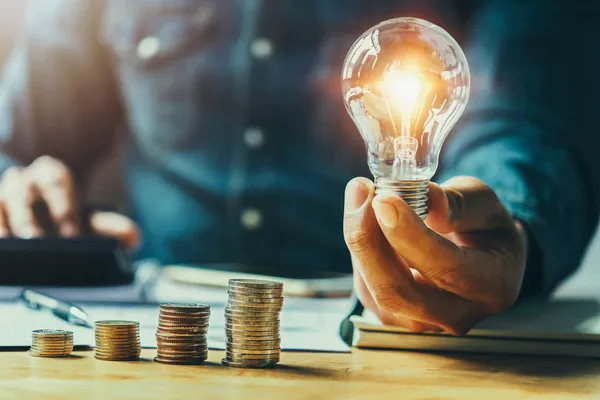 Passo 3: A economia aparece direto na sua conta de luz