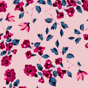 D 15 km copy