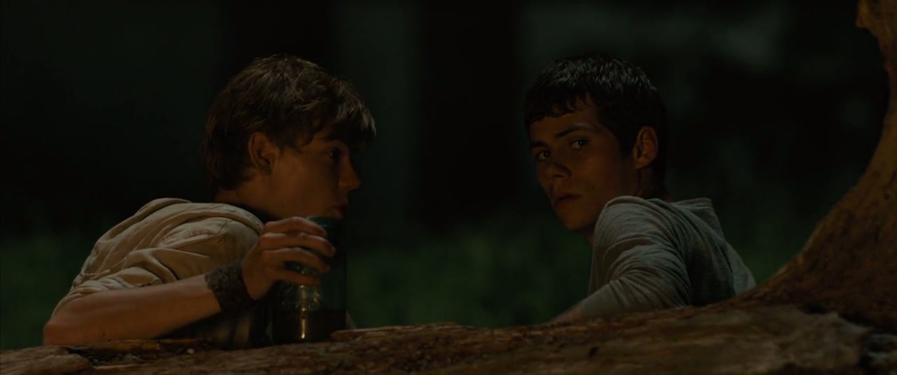 The Maze Runner Screenshot