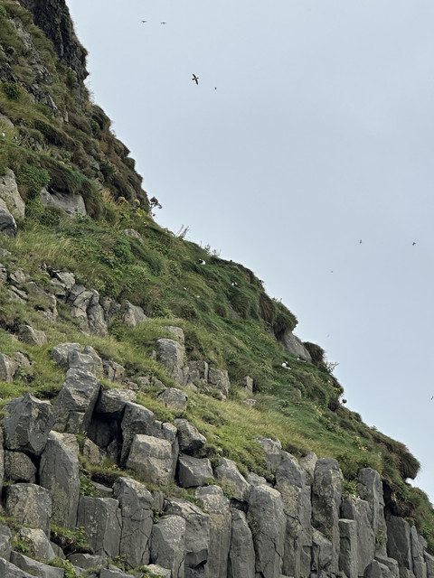 IMG-6217