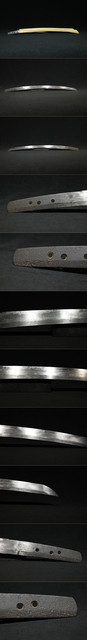 DSC8041.jpg