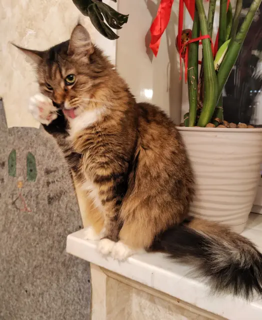 IMG-20230402-215634-889