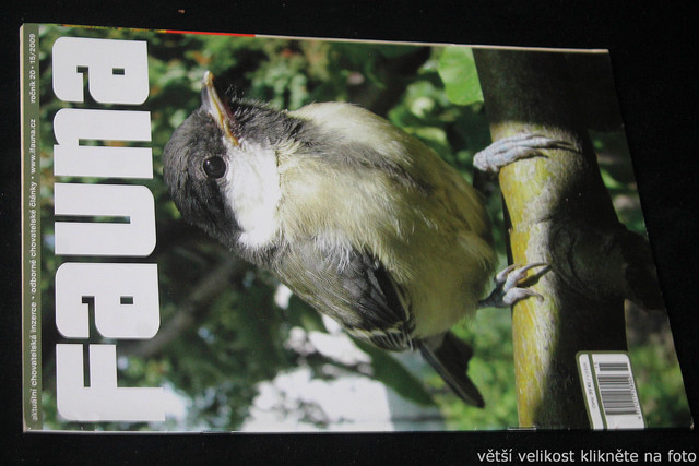 IMG-7724
