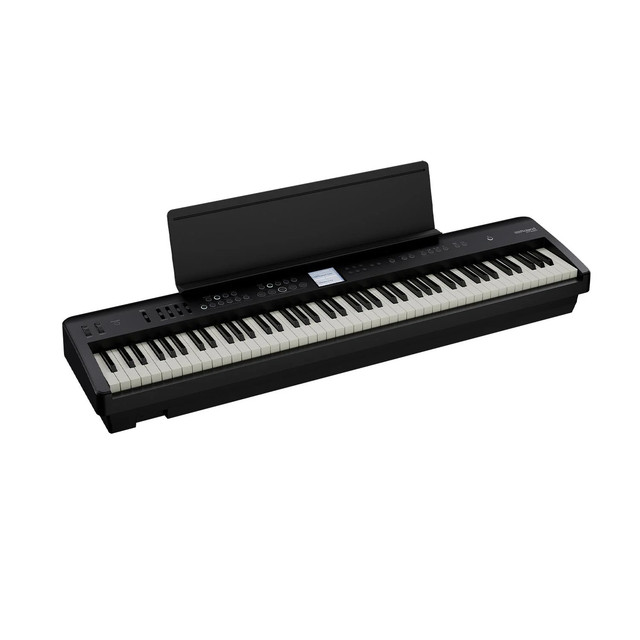 FP E50 BK 2.jpg