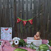 IMG-5431