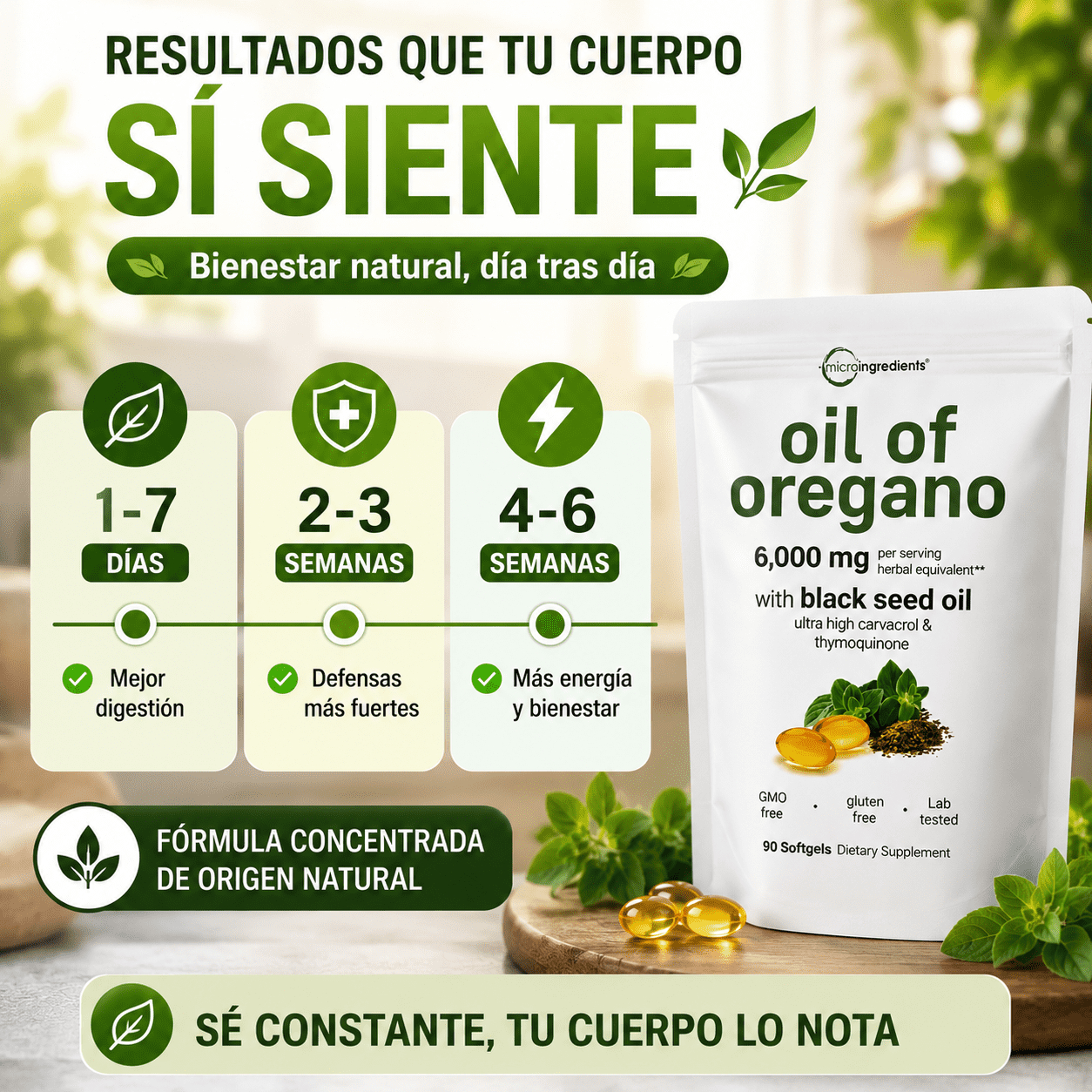 Oil of Oregano beneficios