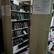 IMG 4919