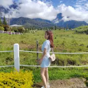 Desa Dairy Farm3