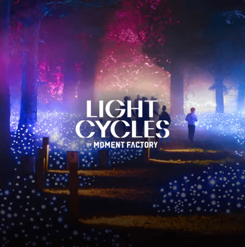 Light Cycles case study