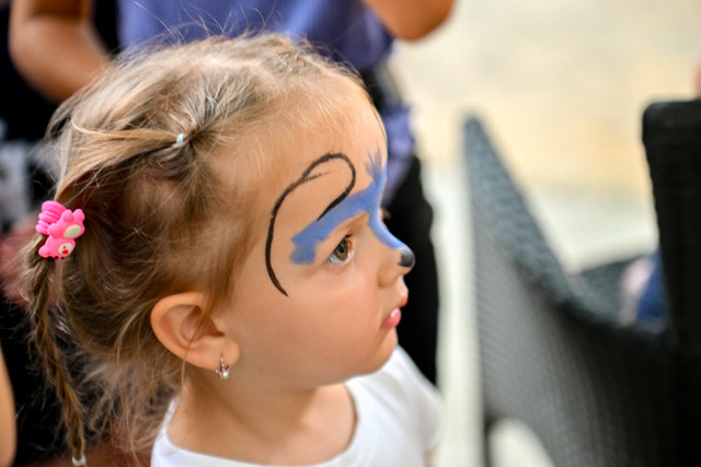 Pic 260