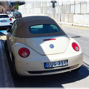M BUG 310
