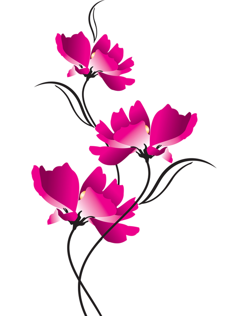 a413cbf7609b3e9fd11c058ee0e6d8ce.png
