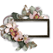 cluster-frame-276