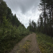 IMG 5768