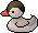 arctictern.png