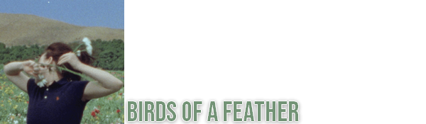 birds.png