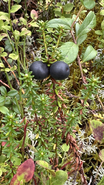 IMG 5678.jpg