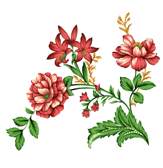 92b504a2643bfc58a928efb4665544e6.png