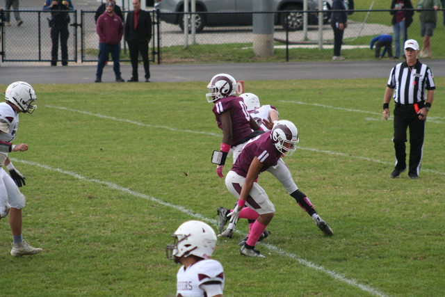 IMG-0247.jpg