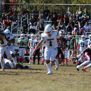 IMG-8213