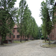 IMG-5797