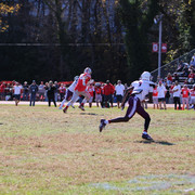 IMG-1186