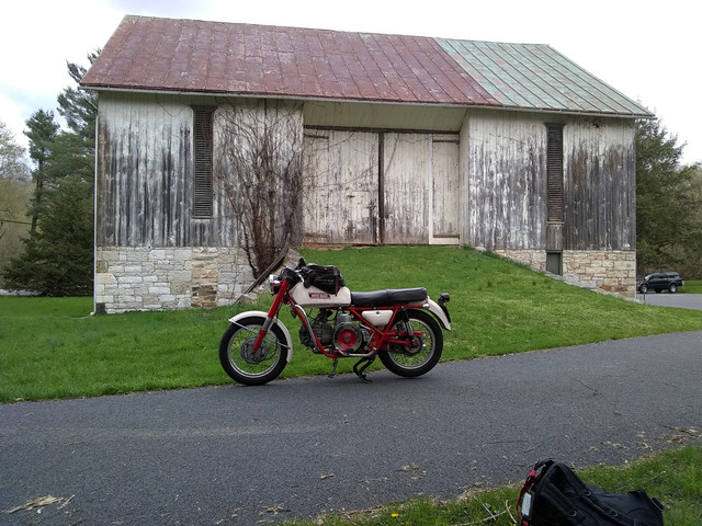 NF-in-PA