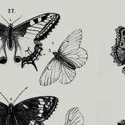 headers37