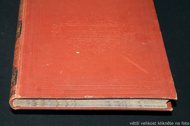 IMG-6416.jpg