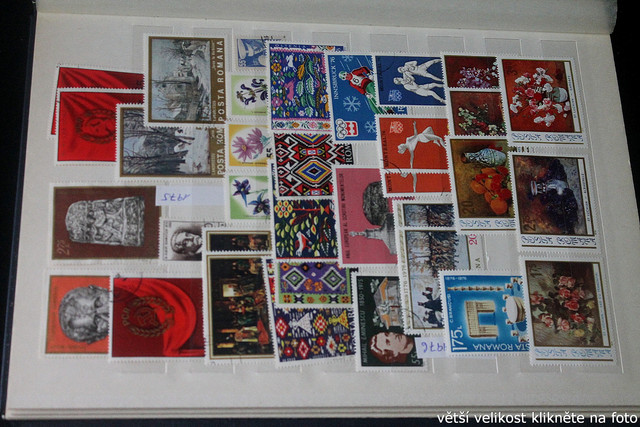 IMG-2560.jpg