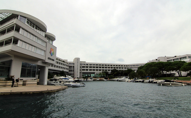 IMG-9768.jpg