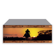 600323-FM-Cavalo-4