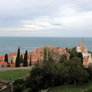 IMG-9790