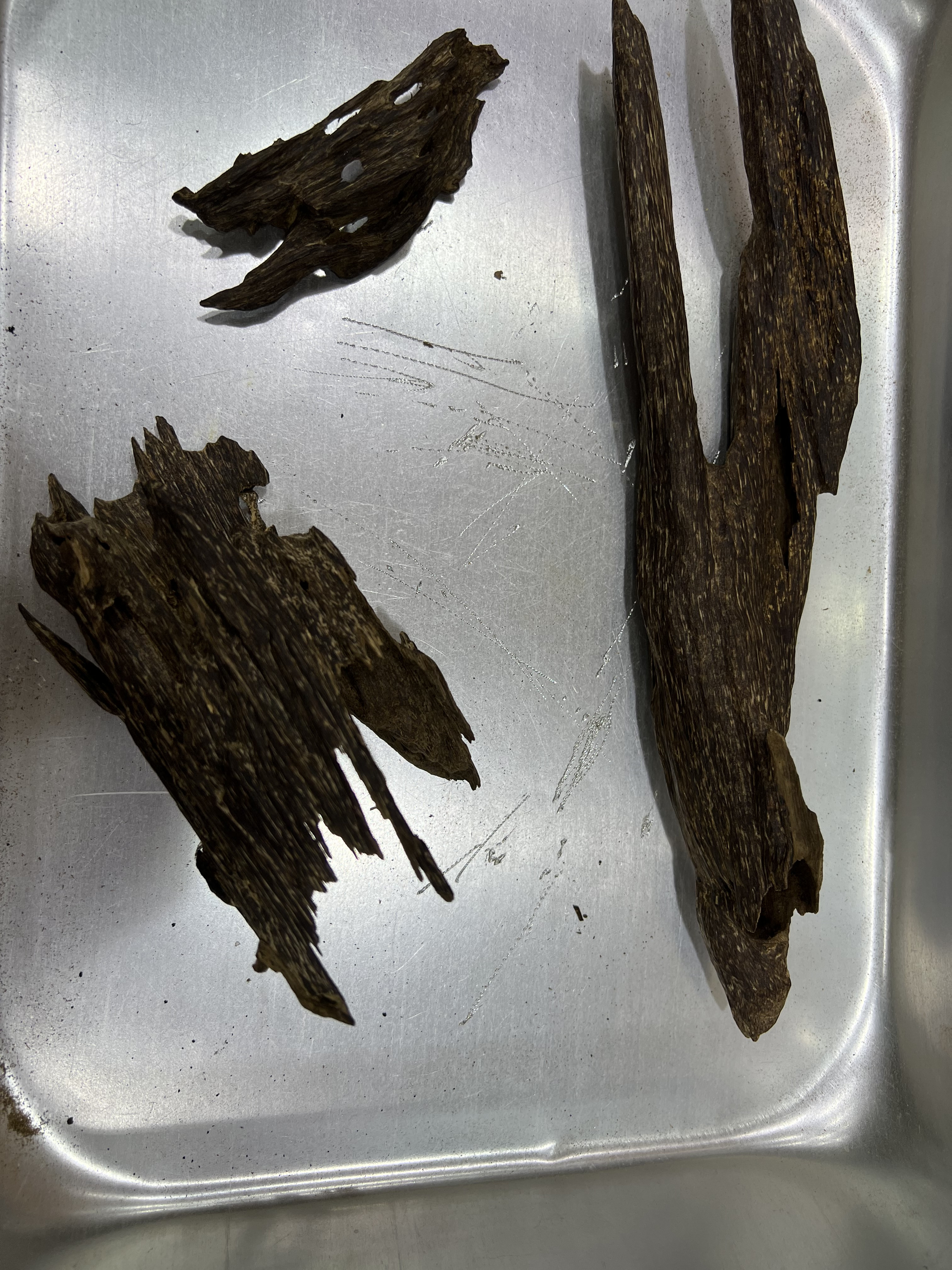 [Ouddict.com] Oud Photos
