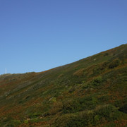 DSCF5495