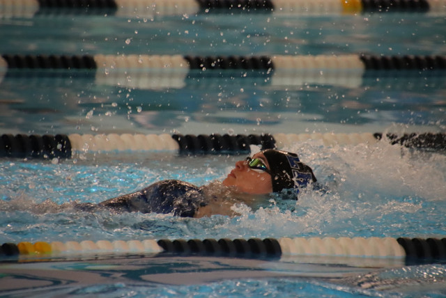 IMG-0074