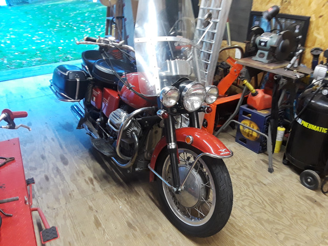 Guzzi-w-shield-2