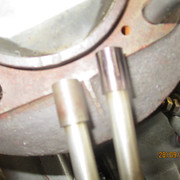 IMG-8445