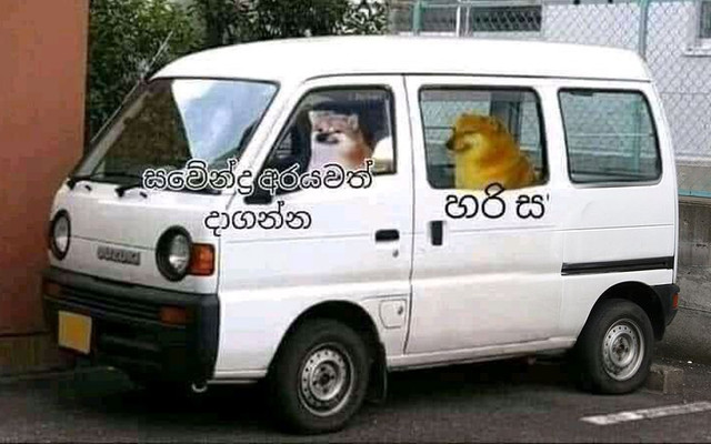 Sawee.jpg