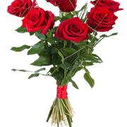 ramos-rosas