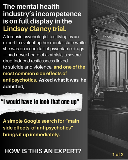 Lindsay Clancy Trial Incompetence 1.png