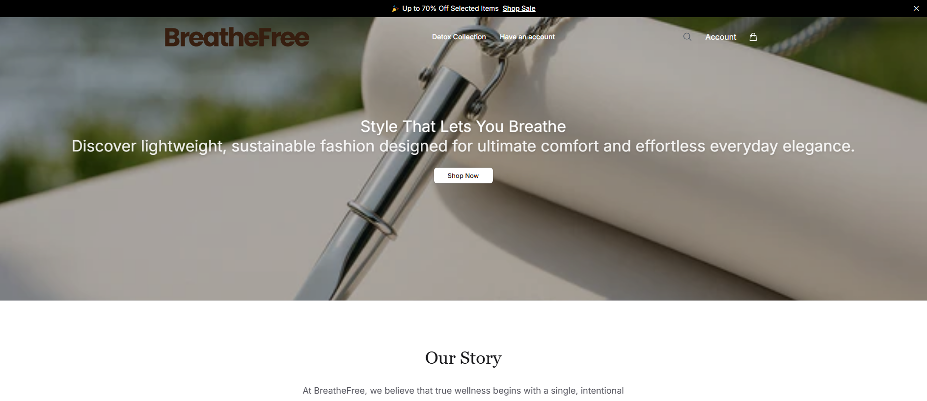 Stored capture of airwellness.shop